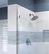 Fixed Shower Panel