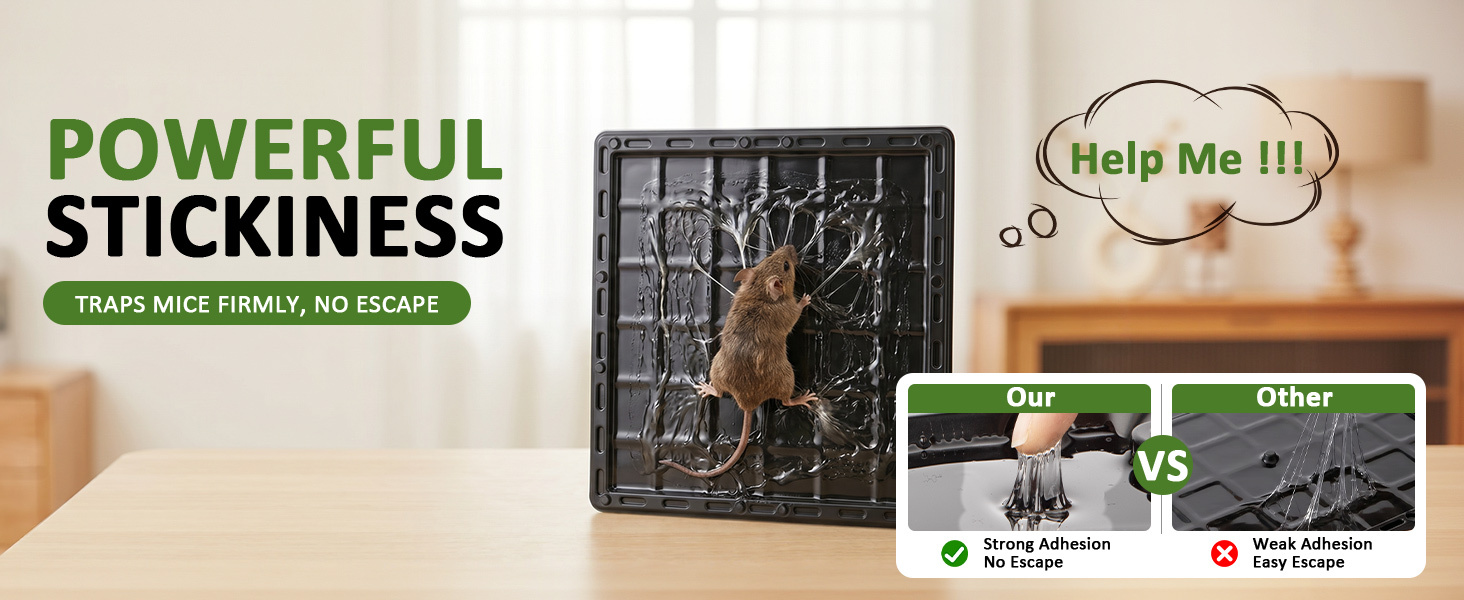 rat trap