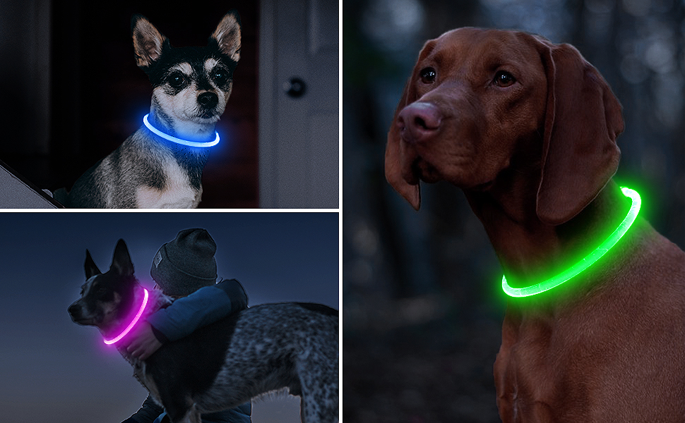 bseen 2025 LED DOG COLLARS