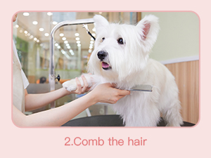 comb hair