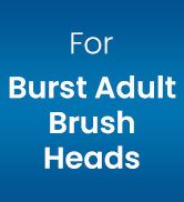 burst toothbrush heads