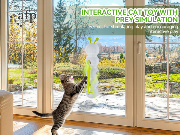 cat toy 3241