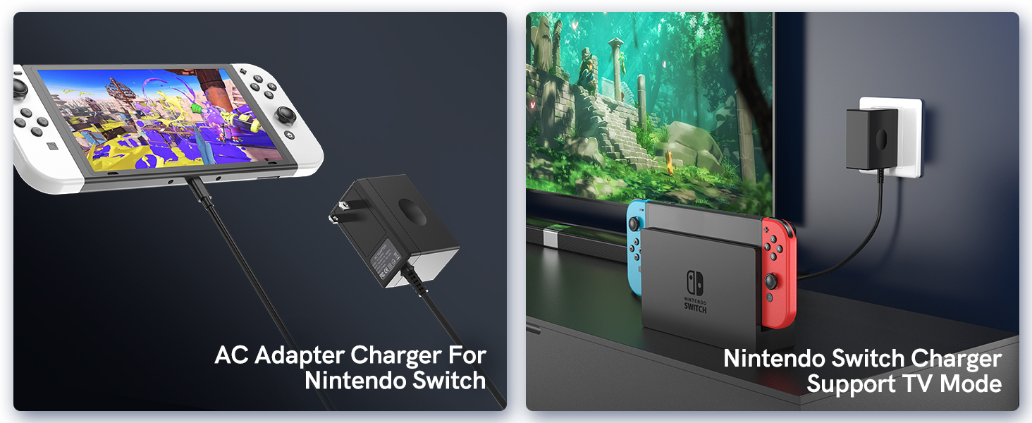 Nintendo switch charger