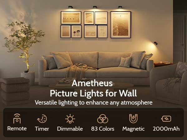 picture lights