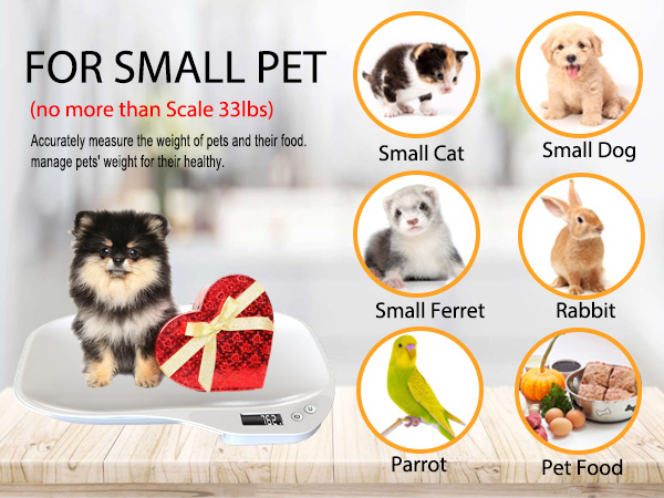 small pet scale
