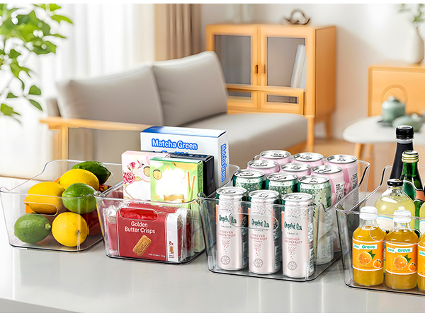 Clear Bins Organizer