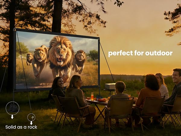Outdoor projector screen
