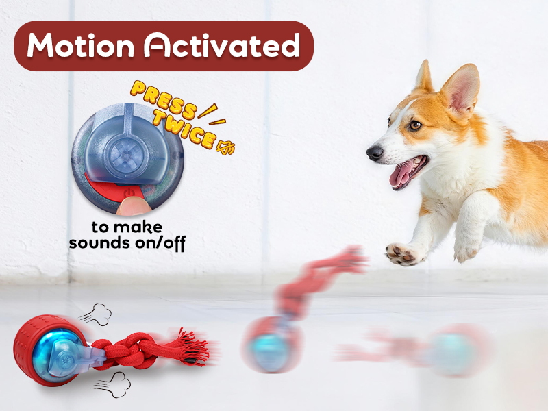 motion dog ball