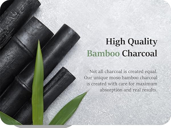 Natural small room deodorizer and air purifying bag pet safe charcoal old people smell remover