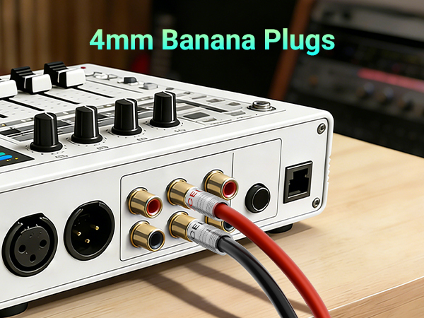 Text reads '4mm Banana Plugs'. Close-up of audio equipment control panel with multiple banana plug connectors and red/black cable connections visible.