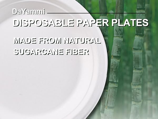 paper plates