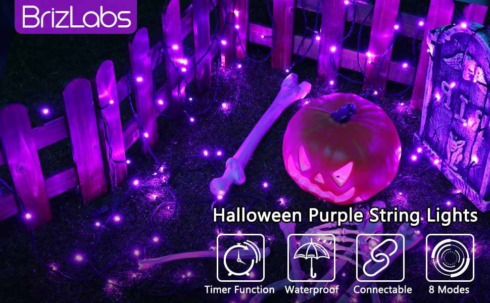 Halloween Purple String Lights