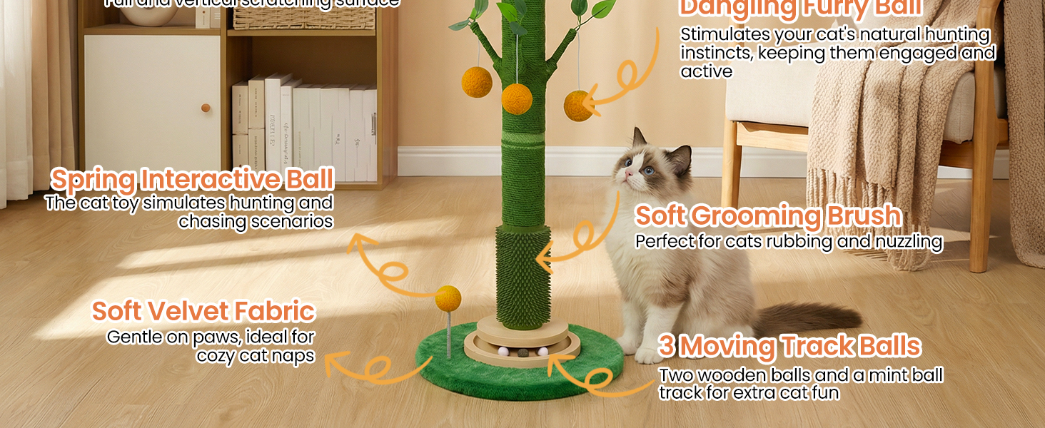 cat scratching post