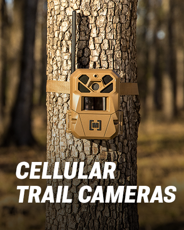 Cellular Cameras - Scout from Anywhere