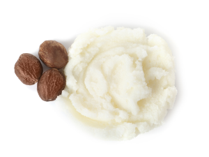 Shea Butter