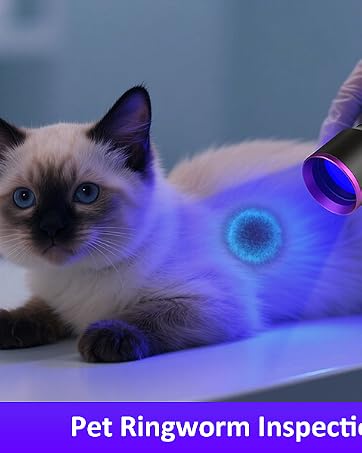 black light for pet urine detection