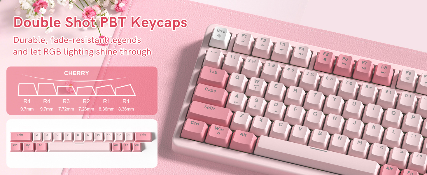 Cherry profile, double-shot PBT, shine-through legend