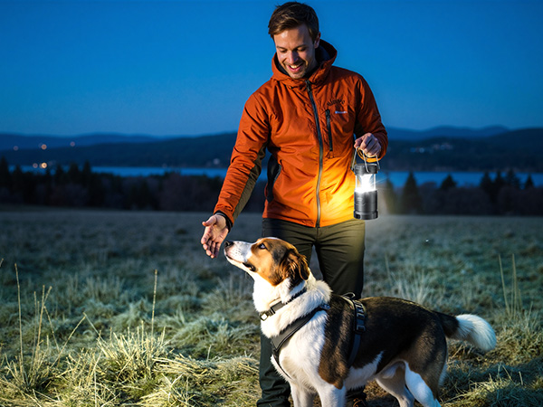 lantern for camping