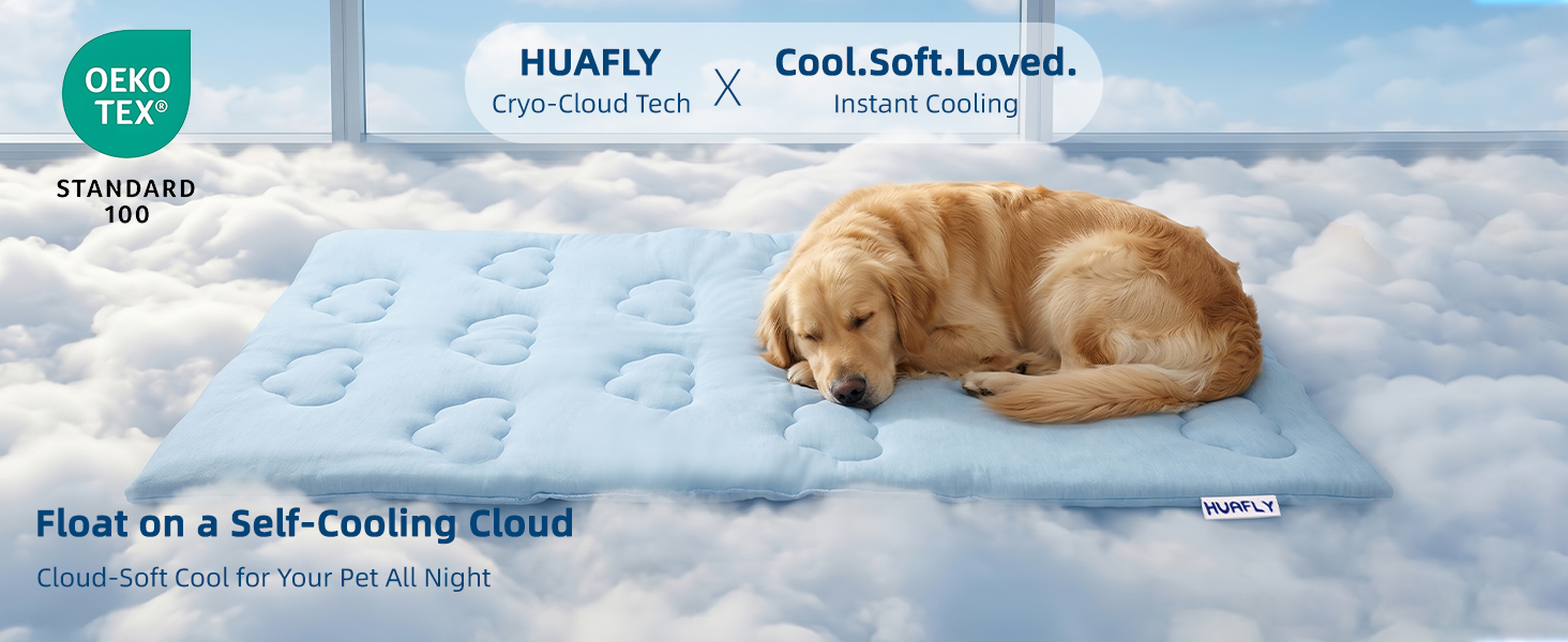 Float on a Self-Cooling Cloud