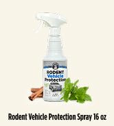 Grandpa Gus's Rodent Vehicle Repellent Spray for Cars & Engines, 16 Fl Oz | Peppermint & Cinnamon...