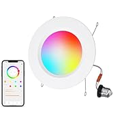 HYDONG 5/6 Inch Smart LED Recessed Light Compatible with Alexa 1Pack,13W1050LM,2700K-6000K,RGB LE...