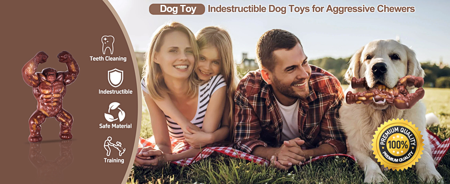 dog toys for aggressive chewers