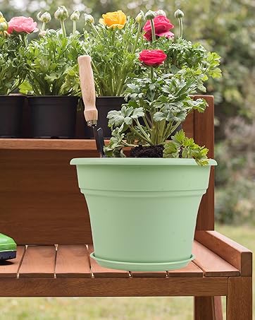 large plant pot outdoor