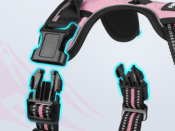 dog harness