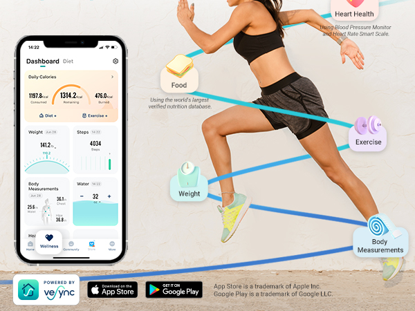 Your Wellness Monitor