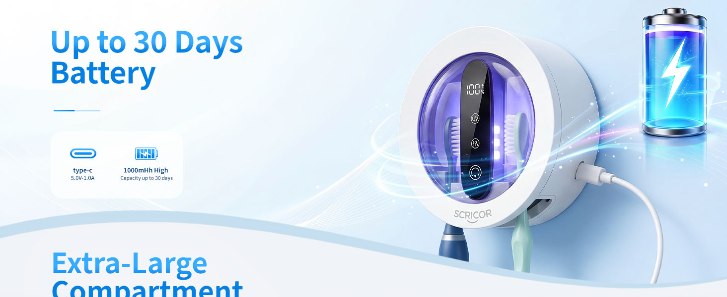Toothbrush holder