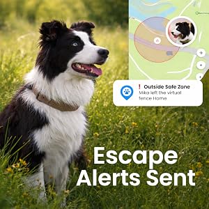 geo fence alarm