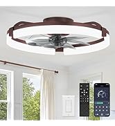 LEDIARY 20" Ceiling Fans with Lights and Remote, Modern Low Profile Ceiling Fan, 3 CCT, Stepless ...