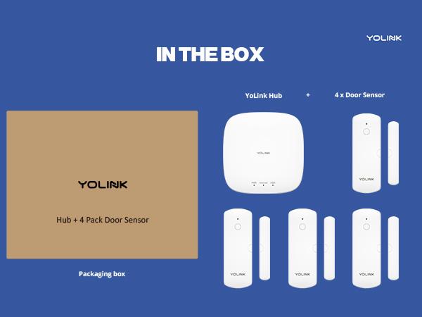 IN THE BOX