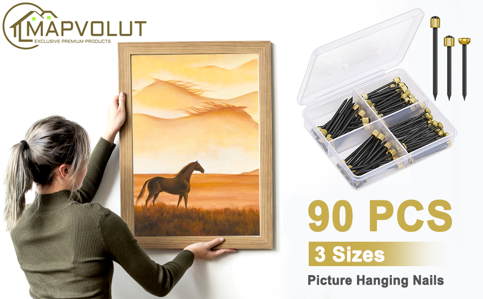 picture hanging nails picture hanging kit wall hangers picture hanging hooks picture hooks