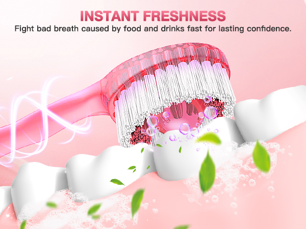 disposable toothbrushes with toothpaste