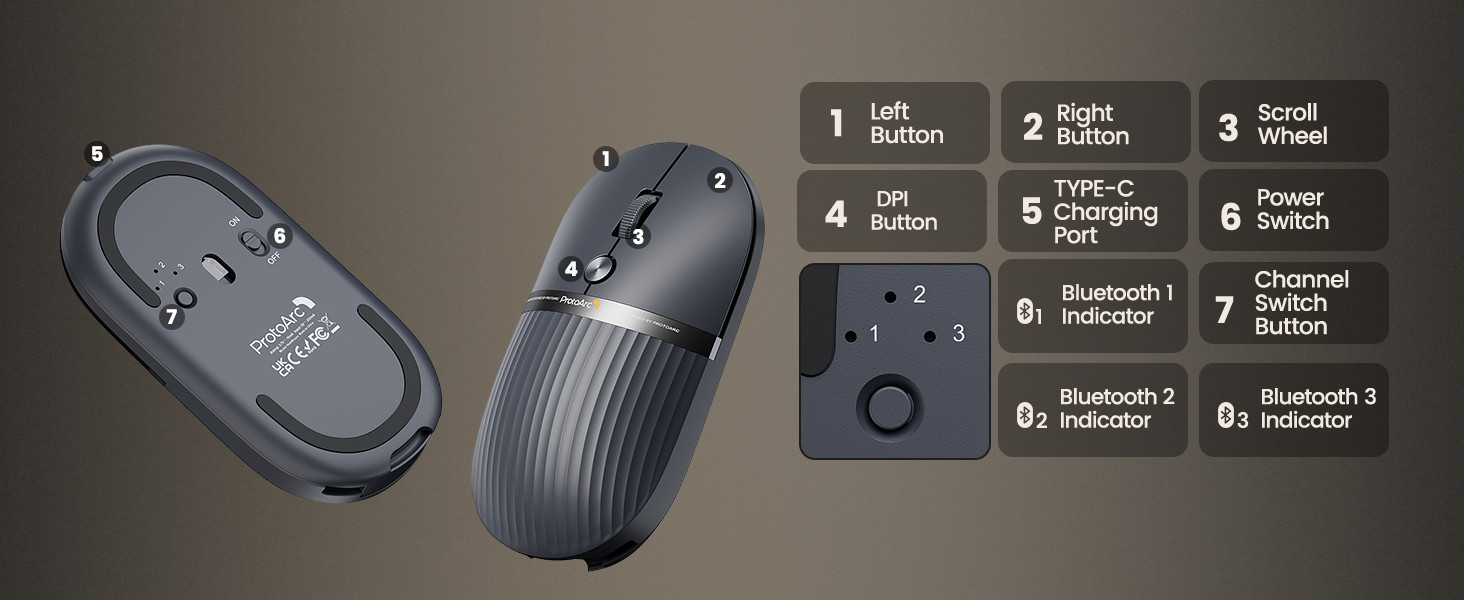 mouse