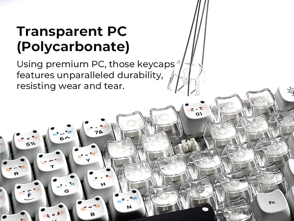 transparent keycaps