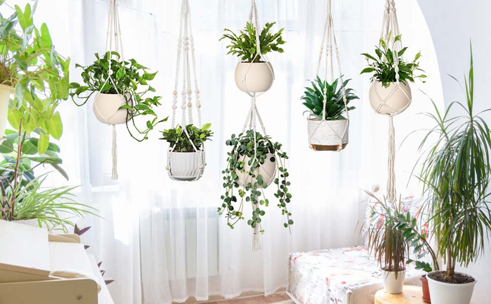 hanging planter