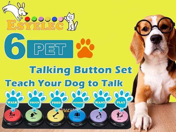 dog training button