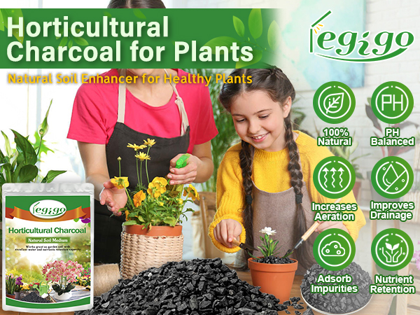 Horticultural Charcoal