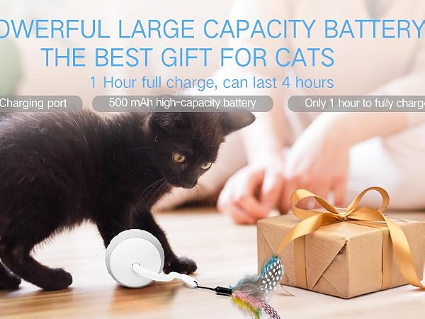 Cat Toys