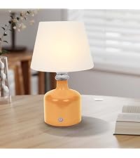 https://m.media-amazon.com/images/S/aplus-media-library-service-media/a2a6b9af-81cf-4b43-8a98-77069e22682f.__AC_SR200,225___.jpg