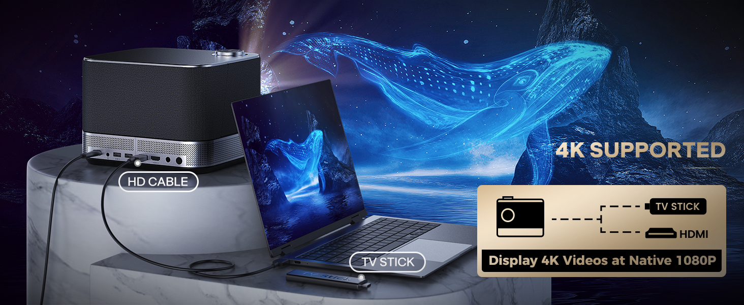 projector 4K Supported