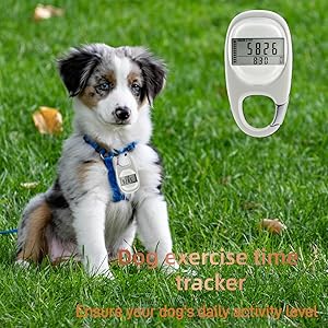 pedometer walking