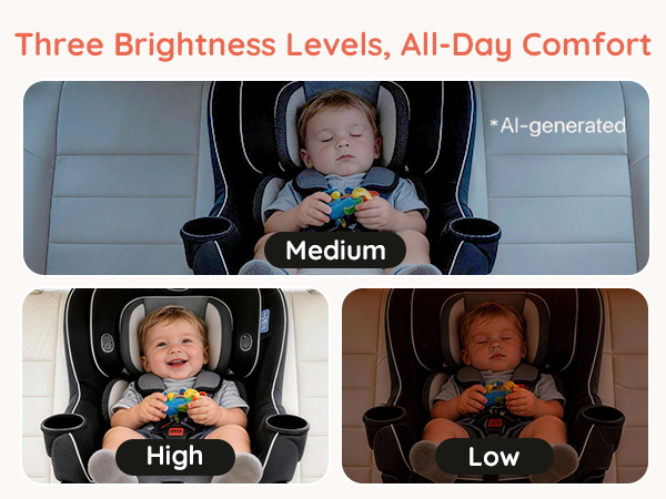 dual car baby monitor