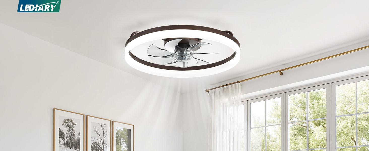 ceiling fan