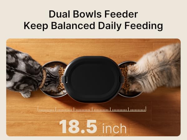 dual automatic cat feeder