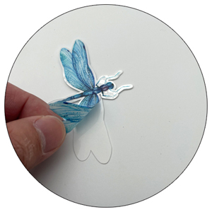 Dragonfly Static Window Decals for Bird Strikes