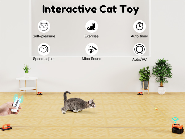 cat toy
