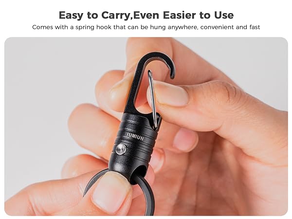 spring key clip
